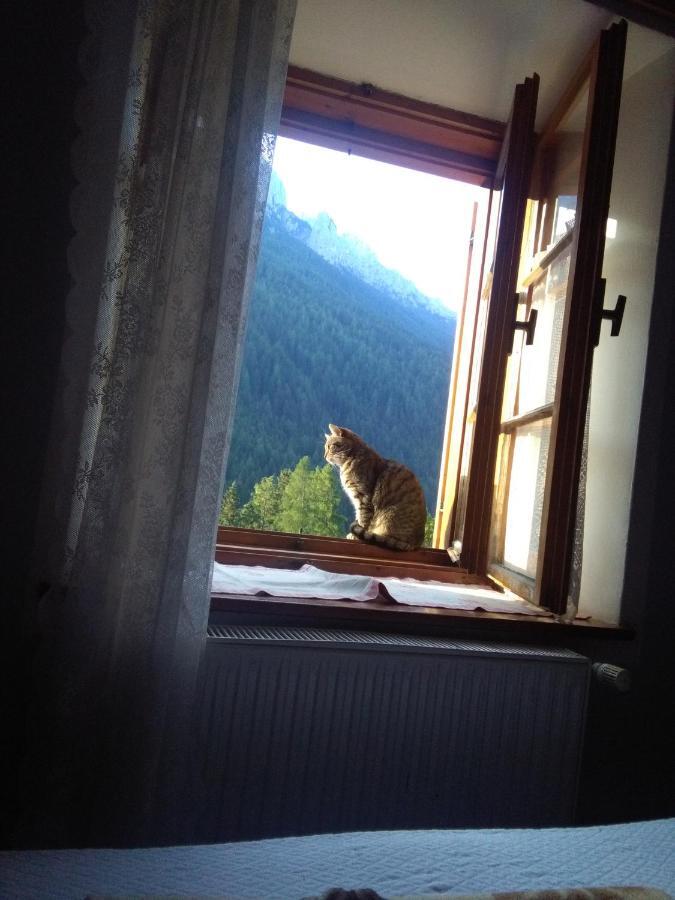 Achillea Bed & Breakfast Vigo di Fassa Εξωτερικό φωτογραφία