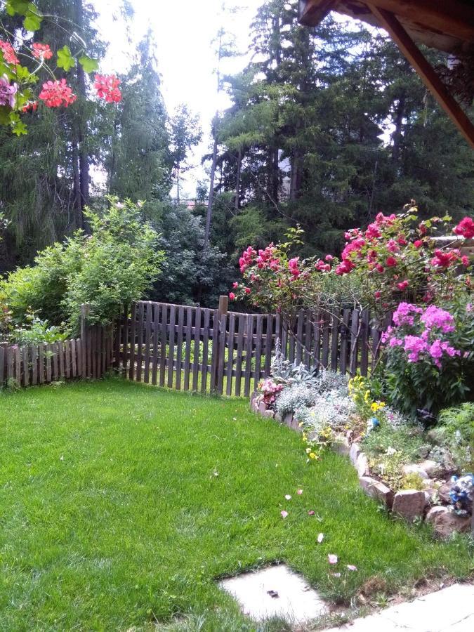 Achillea Bed & Breakfast Vigo di Fassa Εξωτερικό φωτογραφία